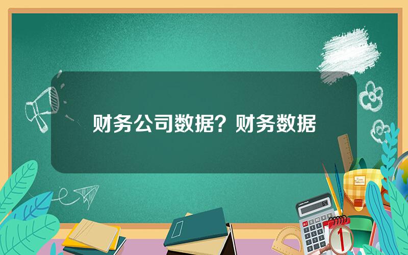 财务公司数据？财务数据