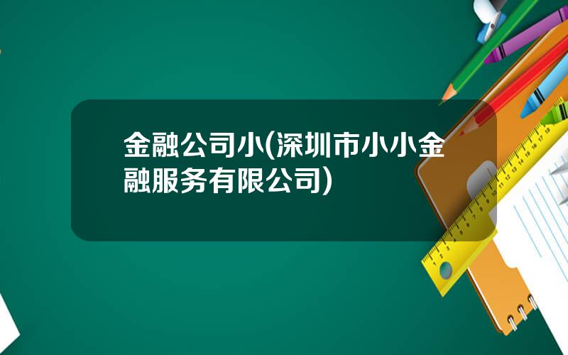 金融公司小(深圳市小小金融服务有限公司)