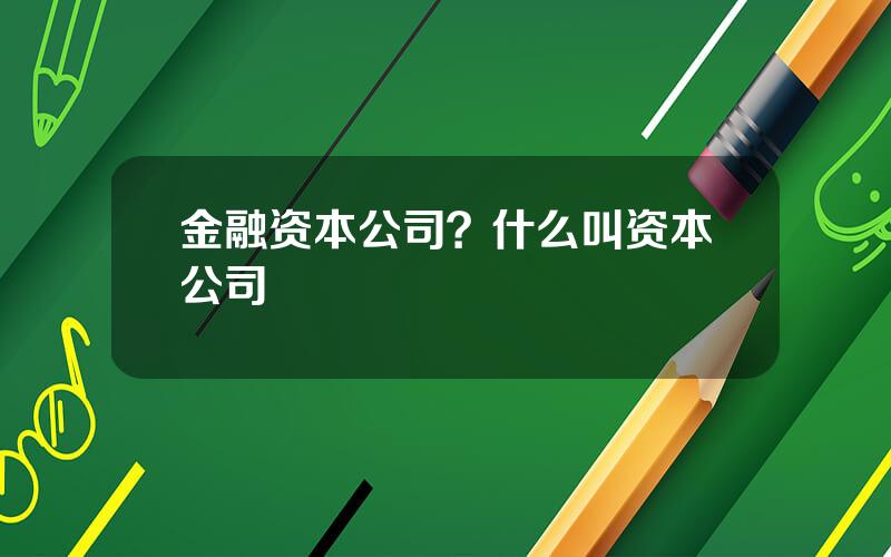 金融资本公司？什么叫资本公司